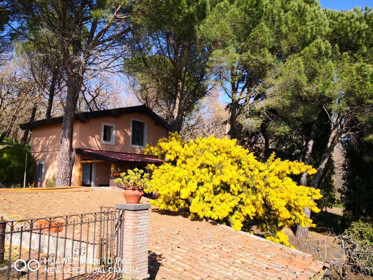 Feudo Algerazzi Villa Zafferana Etnea Exteriör bild