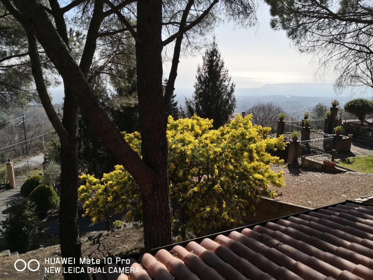 Feudo Algerazzi Villa Zafferana Etnea Exteriör bild